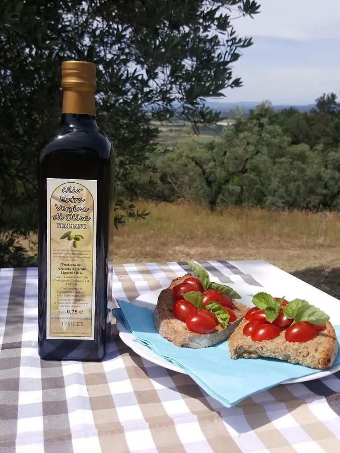 Agriturismo Le Catre Castagneto Carducci