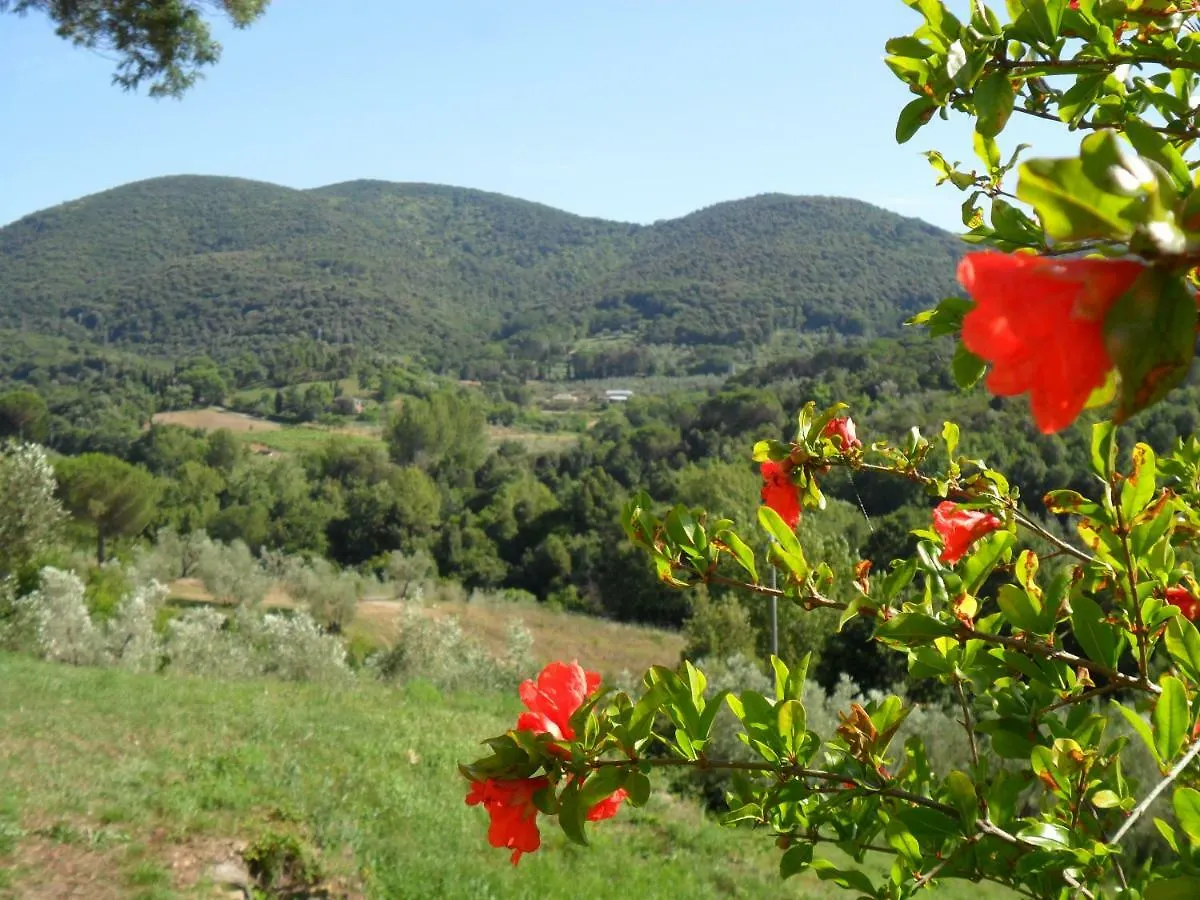 Agriturismo Le Catre Castagneto Carducci Farm stay