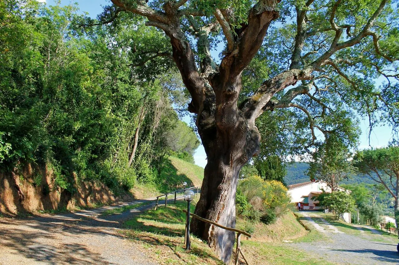 Agriturismo Le Catre Castagneto Carducci Farm stay